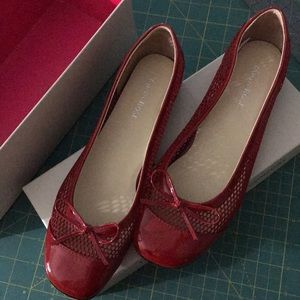 Taryn rose red flat